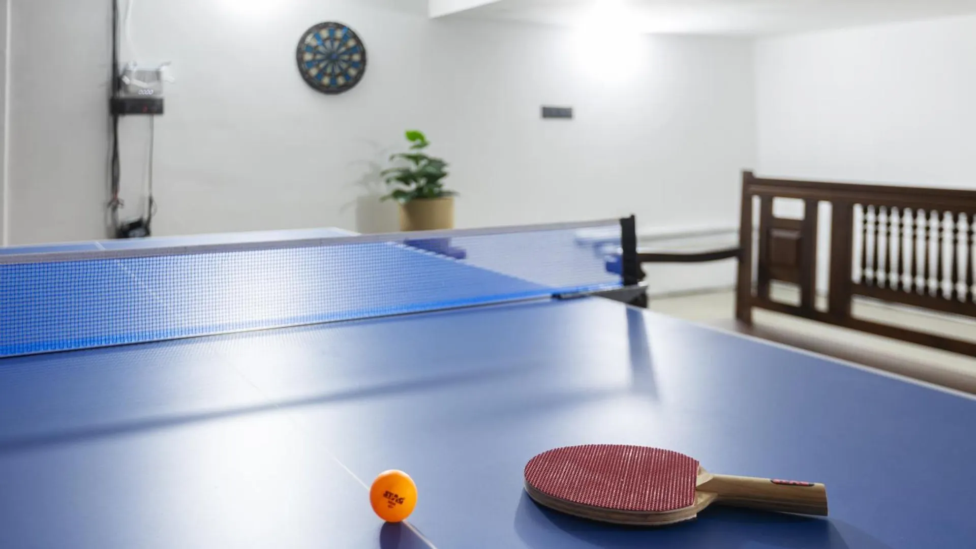 The Zenith - Premium Pool Villa Kochi